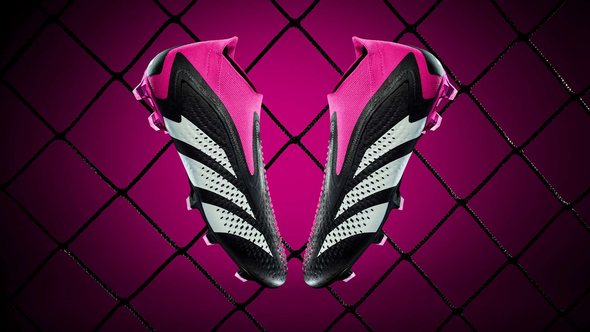 的再次相聚 的再次相聚