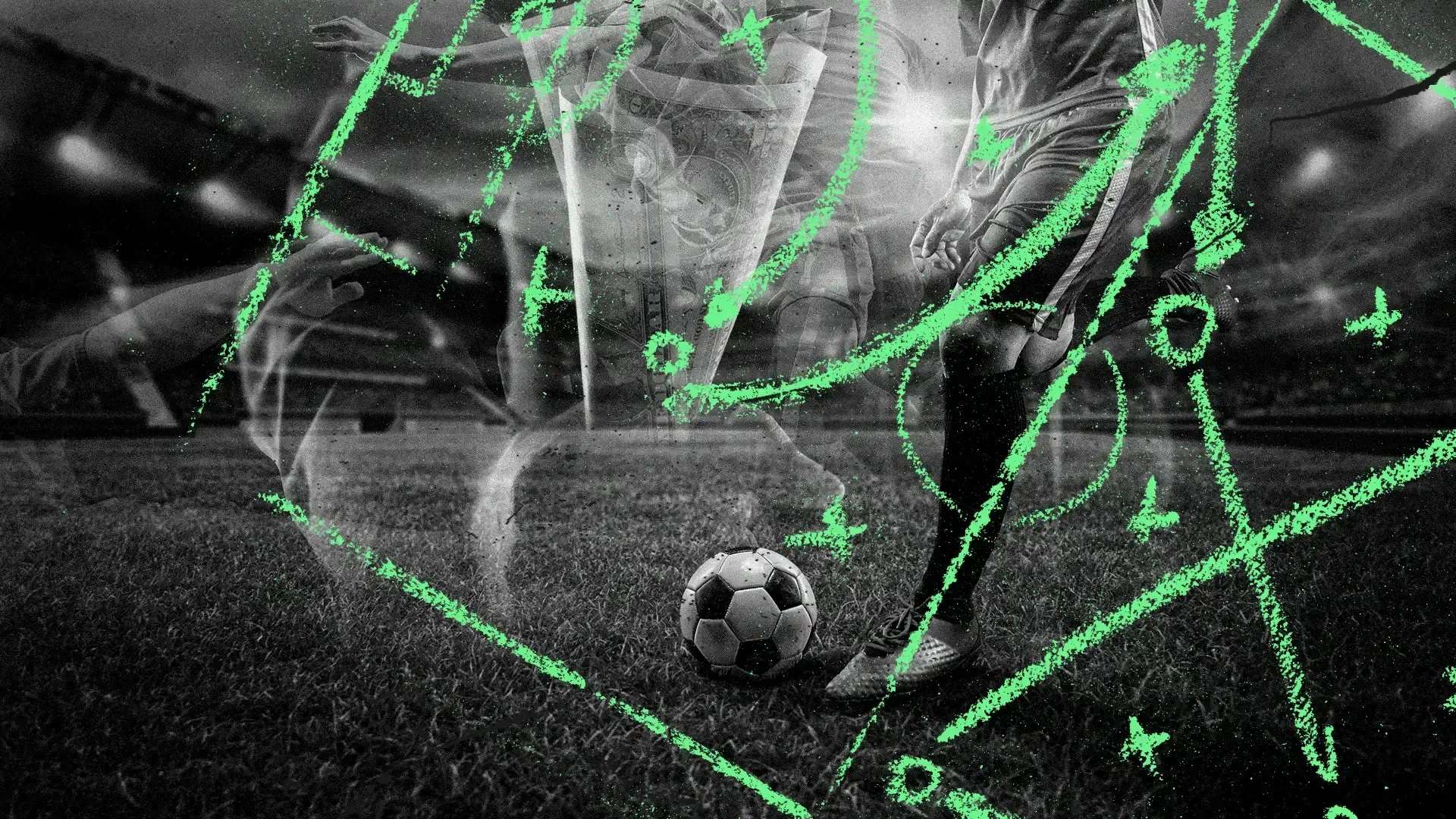 提供了更多 提供了更多